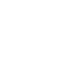Vector (19)